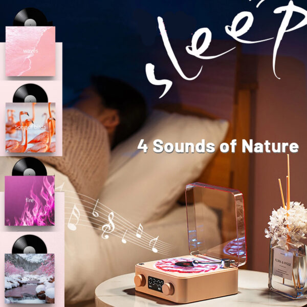 Premium Waves Retro Bluetooth Vinyl Record Player - Image 8