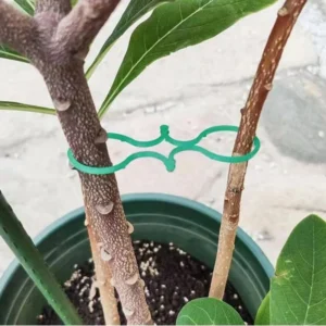 Garden Plant Holder-1000PCS