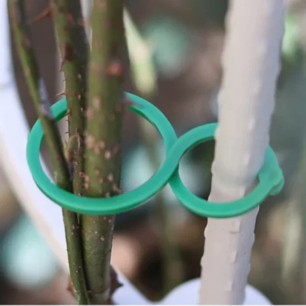 Garden Plant Holder-1000PCS - Image 2