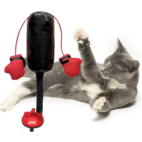 Cat Punching Bag Toy - Image 2