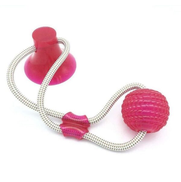 Multifunction Dog Molar Teeth Cleaning Bite Toy - Image 4