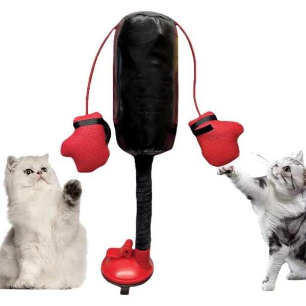 Cat Punching Bag Toy - Image 4
