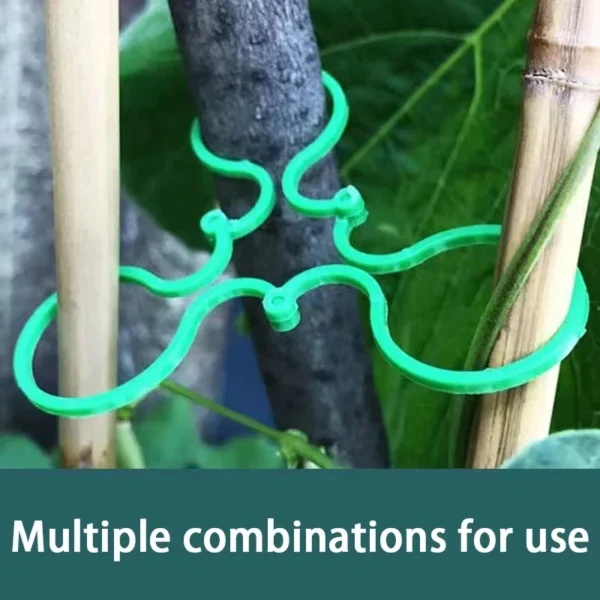 Garden Plant Holder-1000PCS - Image 4