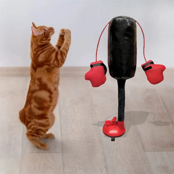 Cat Punching Bag Toy - Image 5