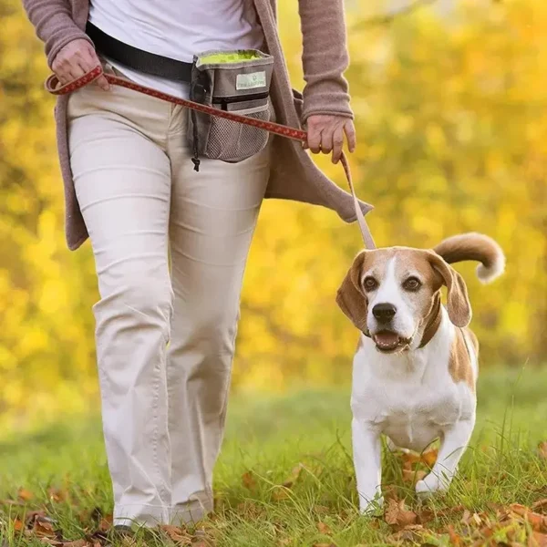 Dog Training Treat Pouch Bag - Image 6