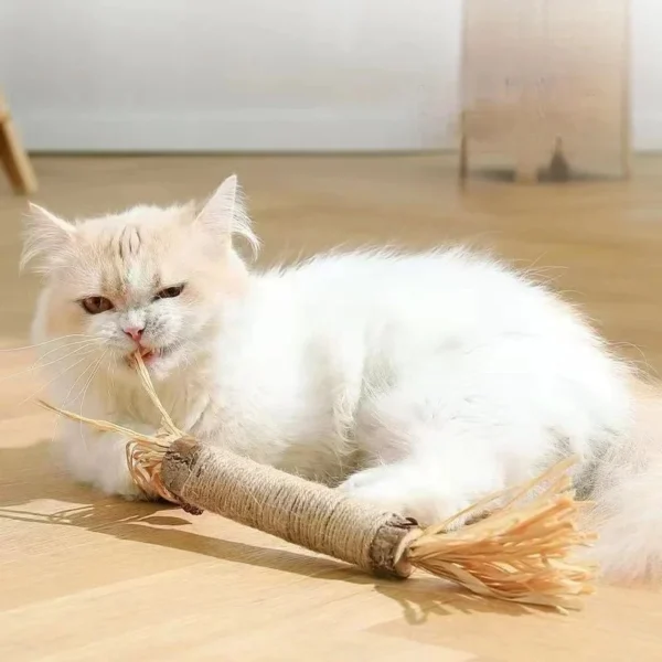 CAT SILVERVINE CHEWING STICK
