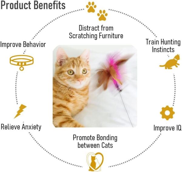 Cat Interactive Feather Collar Teaser Toy - Image 2