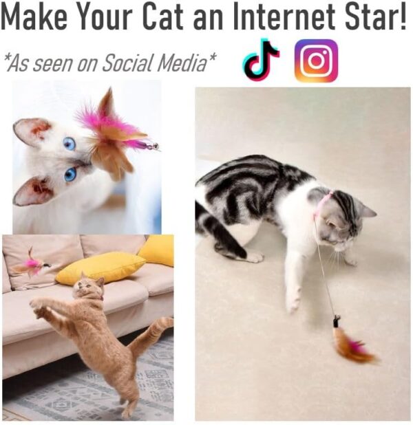 Cat Interactive Feather Collar Teaser Toy - Image 3