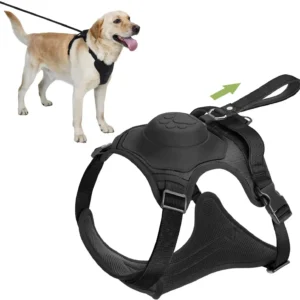 Dog Harness and Retractable Leash Set All-in-One