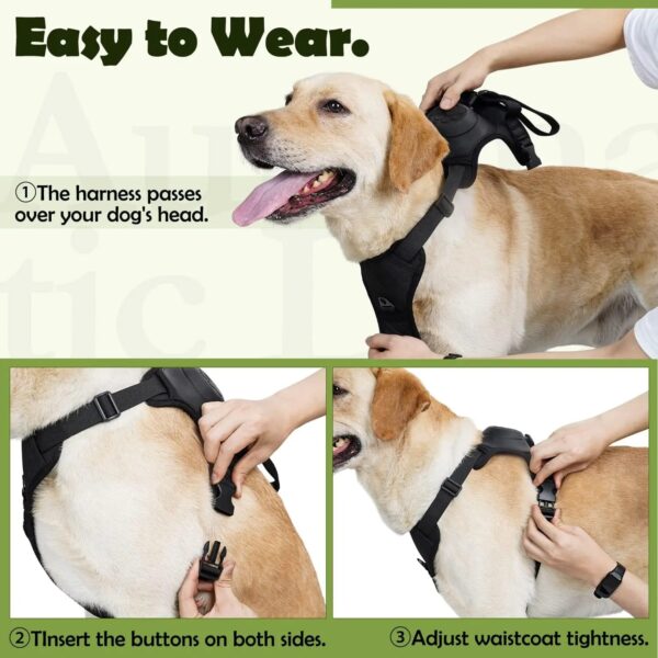 Dog Harness and Retractable Leash Set All-in-One - Image 2