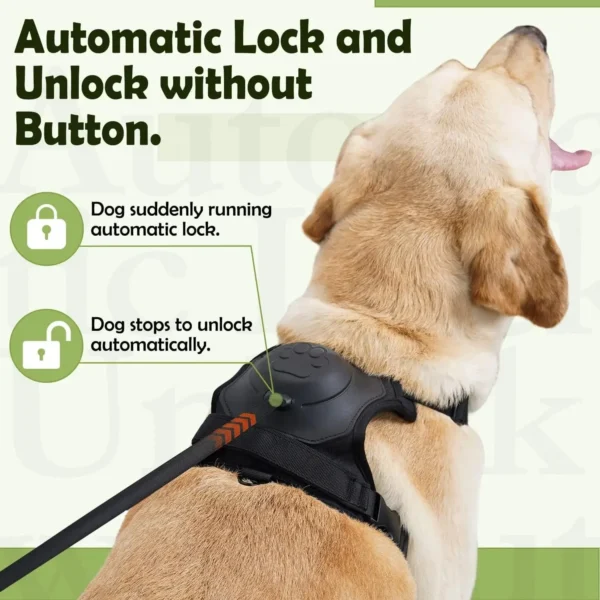 Dog Harness and Retractable Leash Set All-in-One - Image 3