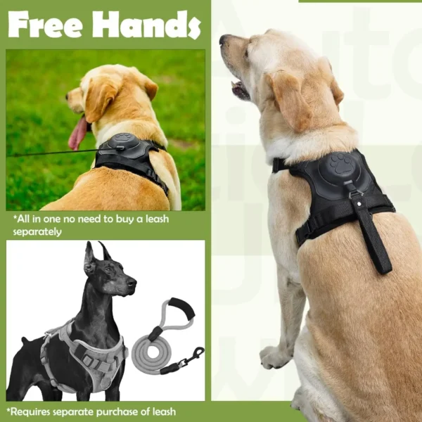 Dog Harness and Retractable Leash Set All-in-One - Image 4