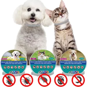 Flea and Tick Pet Collar