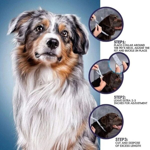 Flea and Tick Pet Collar - Image 5