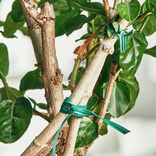 Garden Plant Fixed Rope - Image 5