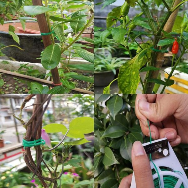 Garden Plant Fixed Rope - Image 3