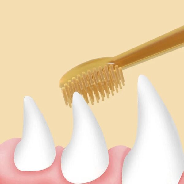 Pet Toothbrush with Tongue Scraper - Image 3