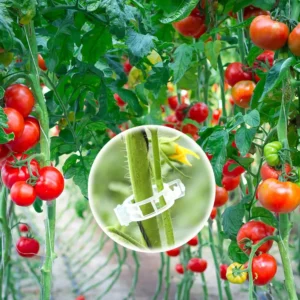 Plant Support Clips-100PCS