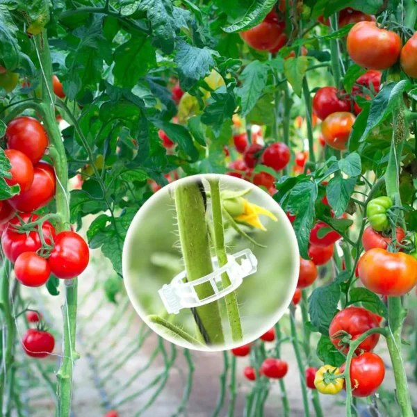 Plant Support Clips-100PCS