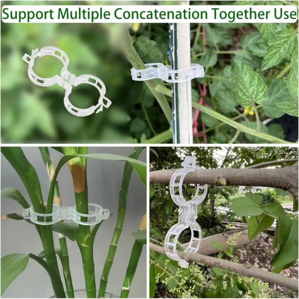 Plant Support Clips-100PCS - Image 2
