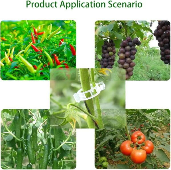 Plant Support Clips-100PCS - Image 3