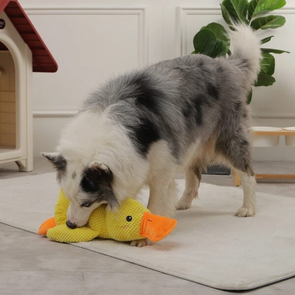 Quack-Quack Duck Dog Toy - Image 2