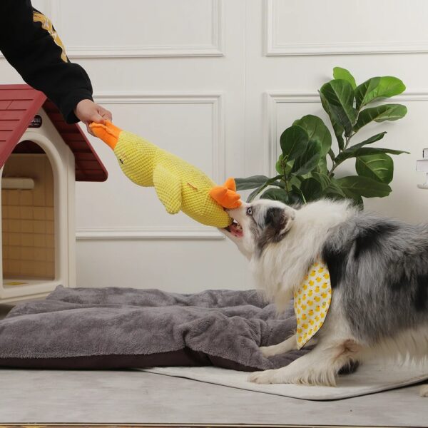 Quack-Quack Duck Dog Toy - Image 3