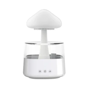 Rain Cloud Diffuser Humidifier