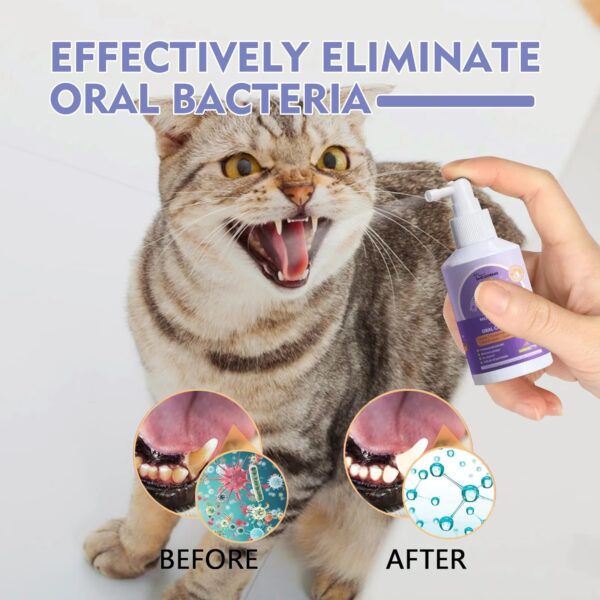 Teeth Cleaning Spray for Dogs & Cats - Image 3