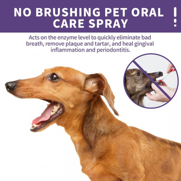 Teeth Cleaning Spray for Dogs & Cats - Image 4
