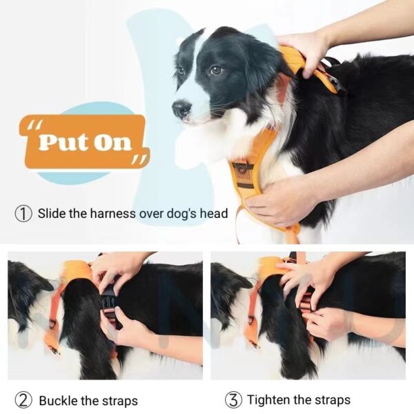 Dog Harness and Retractable Leash Set All-in-One - Image 2