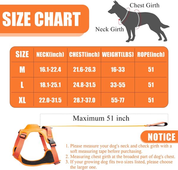 Dog Harness and Retractable Leash Set All-in-One - Image 4