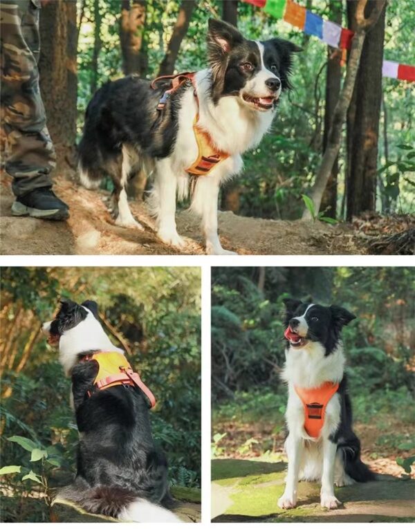 Dog Harness and Retractable Leash Set All-in-One - Image 6