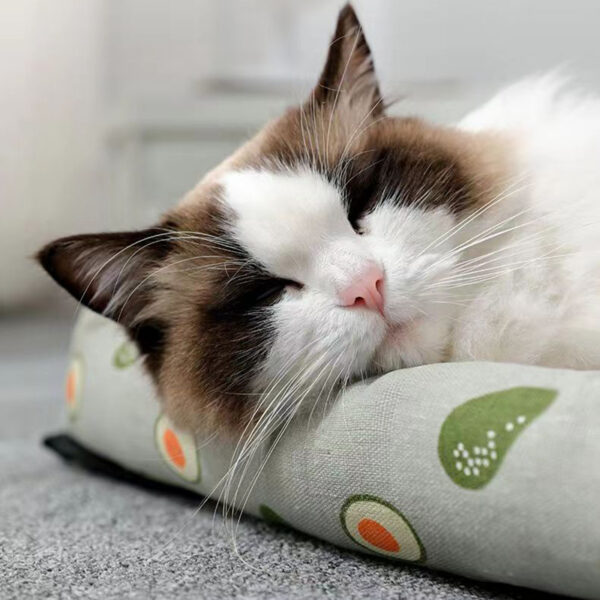 Pet Ice Pad Mat - Image 3