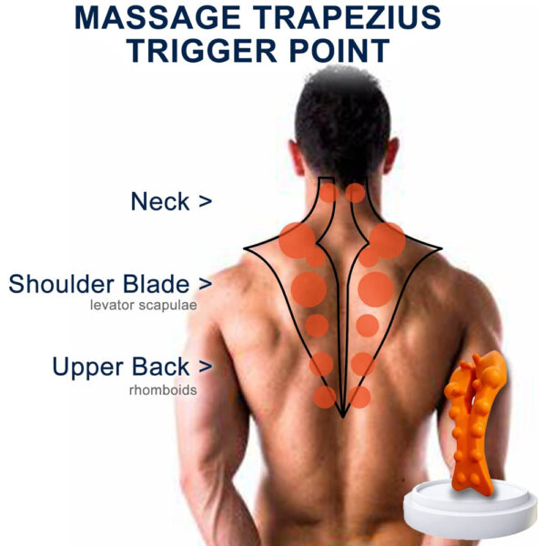 Trigger Points Stretcher - Image 5