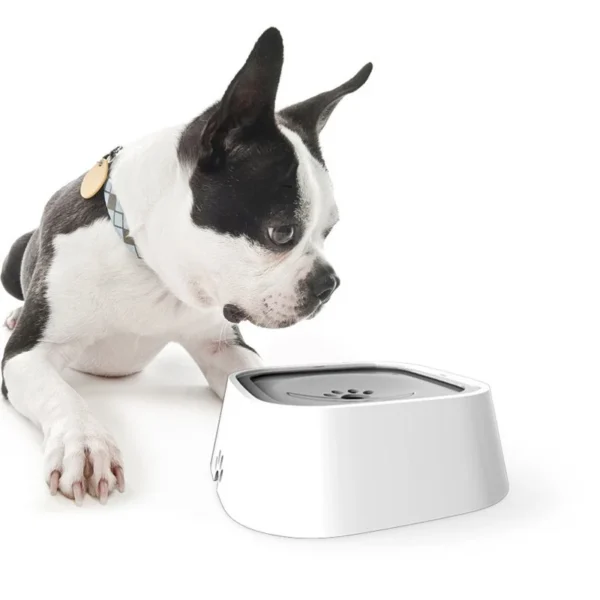 Anti Splash Pet Bowl