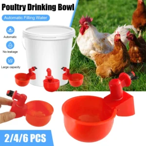 Automatic Chicken Water Dispenser