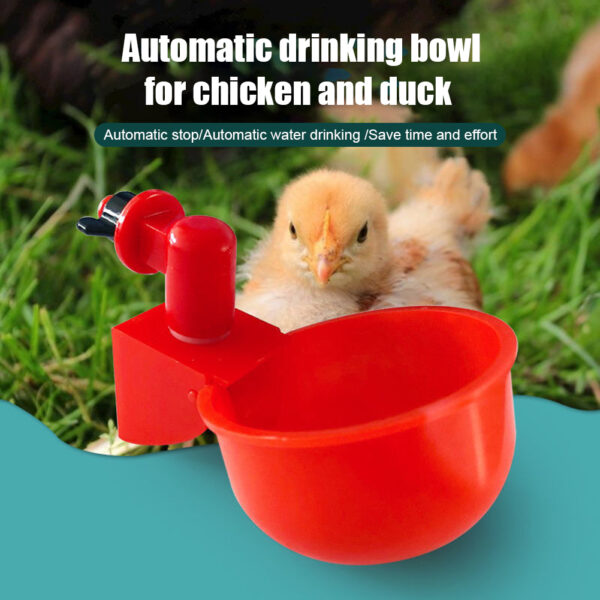 Automatic Chicken Water Dispenser - Image 2