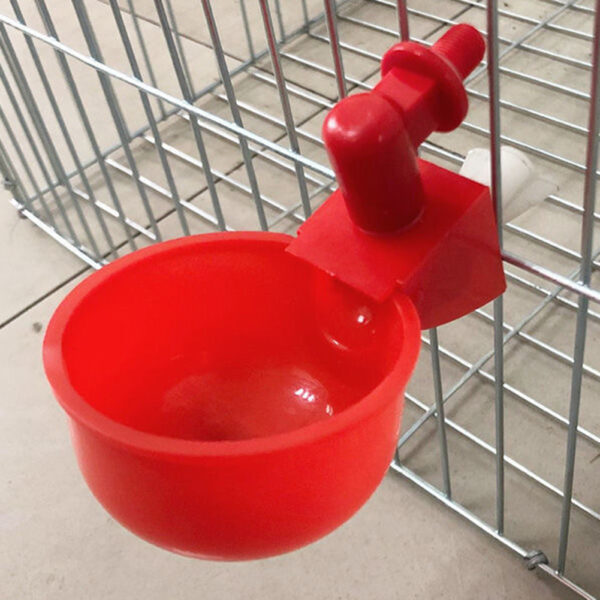 Automatic Chicken Water Dispenser - Image 4