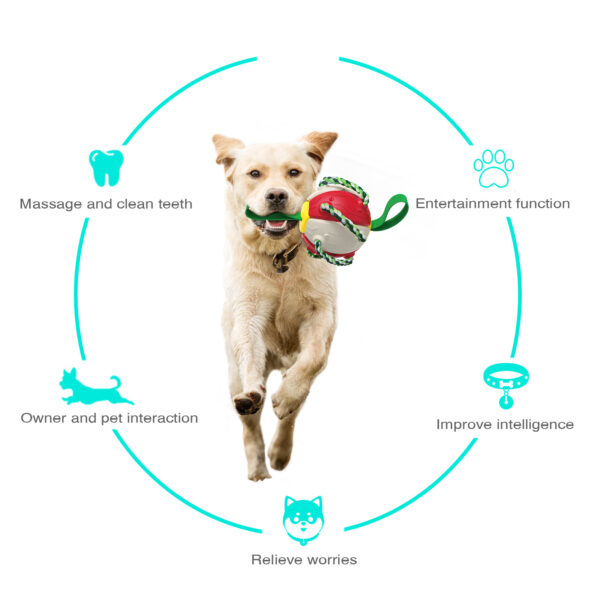 Interactive Flying Disk Ball Dog Toy - Image 10