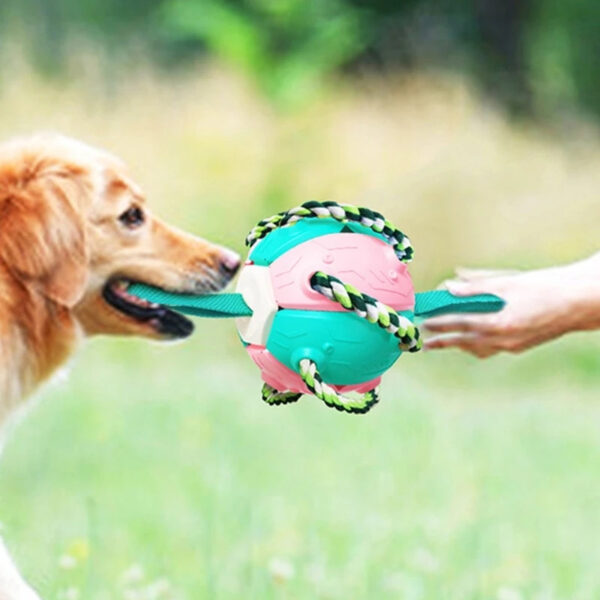 Interactive Flying Disk Ball Dog Toy - Image 2