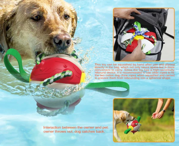 Interactive Flying Disk Ball Dog Toy - Image 8