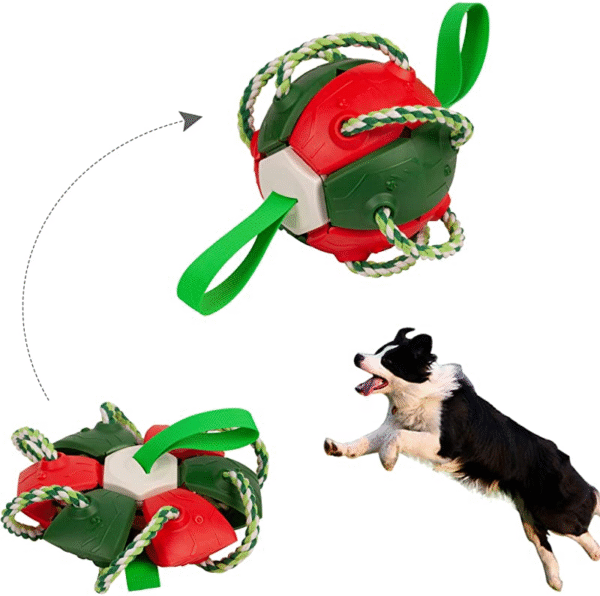 Interactive Flying Disk Ball Dog Toy - Image 9