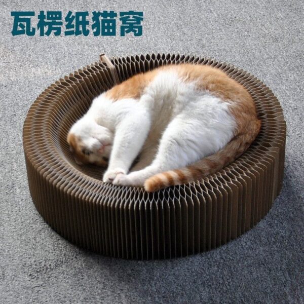 Magic Organ Cat Scratching Board - Image 2