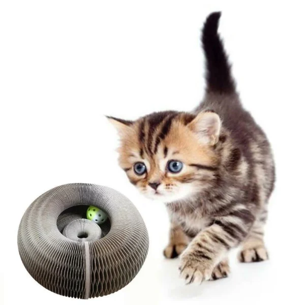 Magic Organ Cat Scratching Board - Image 3