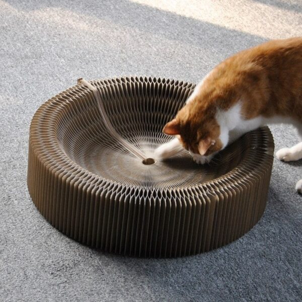 Magic Organ Cat Scratching Board - Image 5