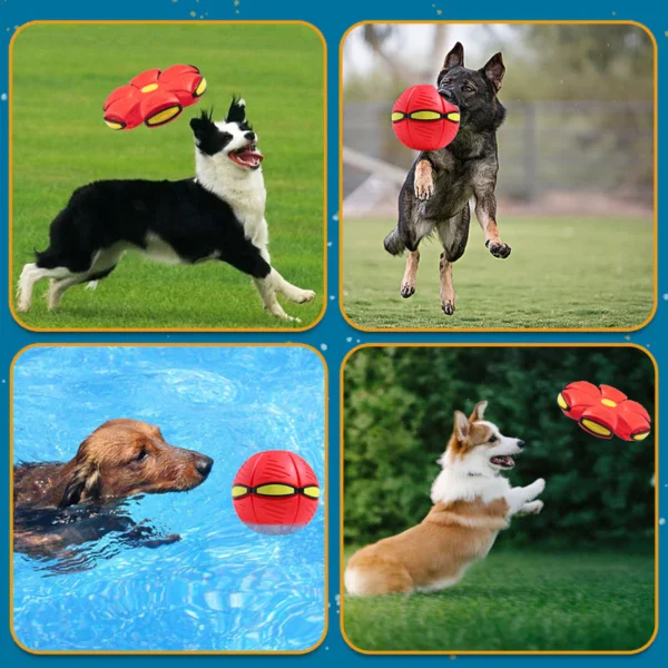 Pet Toy Flying Saucer Ball - Image 3