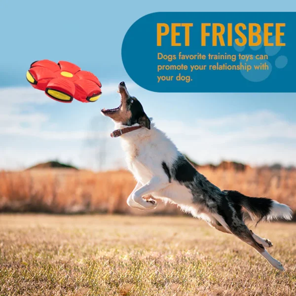 Pet Toy Flying Saucer Ball - Image 5