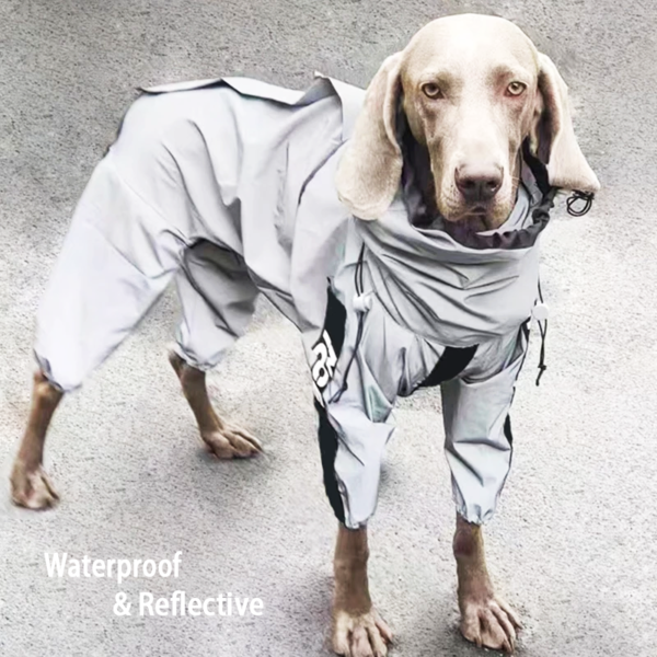Reflective All-Weather Waterproof Dog Rain Coat