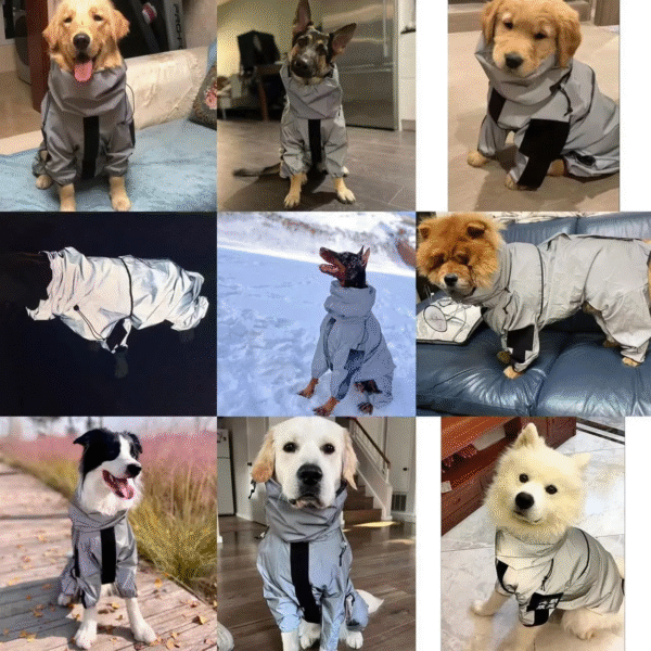 Reflective All-Weather Waterproof Dog Rain Coat - Image 5